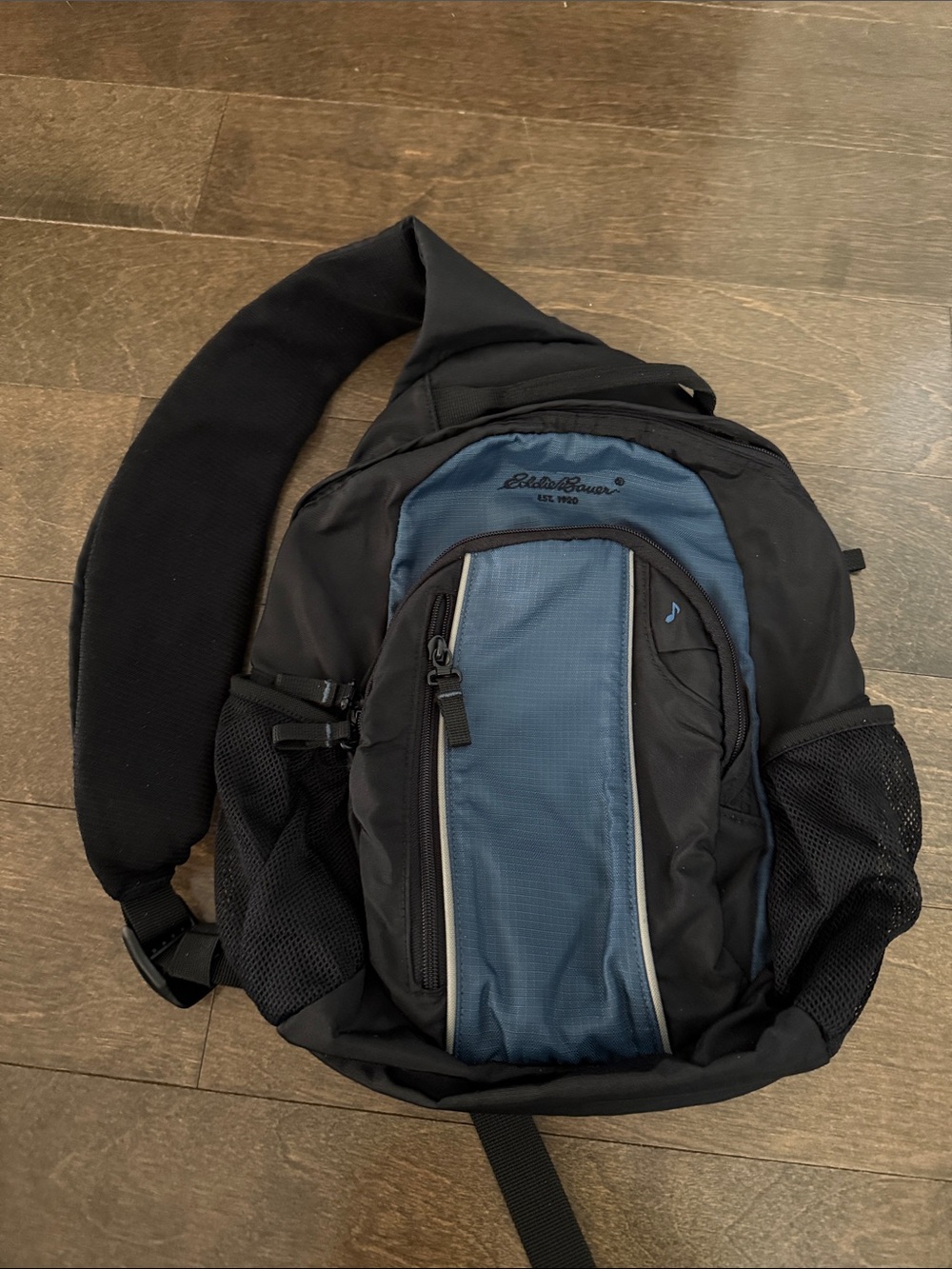 Eddie Bauer mini backpack